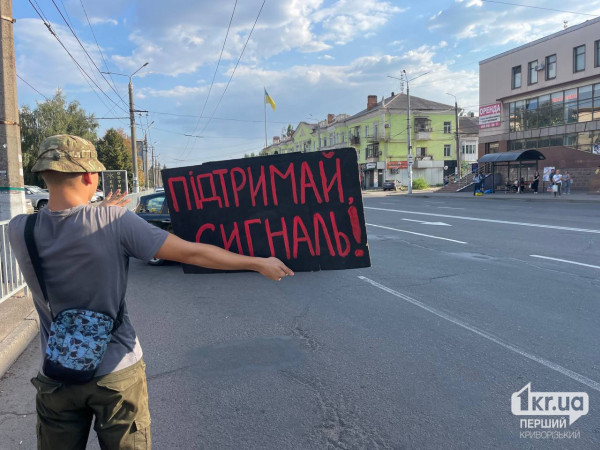 Проезжающие мимо машины сигналили в знак поддержки митинга