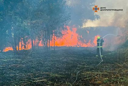 За сутки на Днепропетровщине сгорело 109 гектар