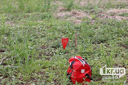 За 10 дней в полях Криворожского района нашли 17 взрывоопасных предметов