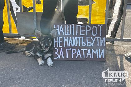 «Их жизнь - это наша жизнь»: в Кривом Роге прошла мирная акция в поддержку военнопленных