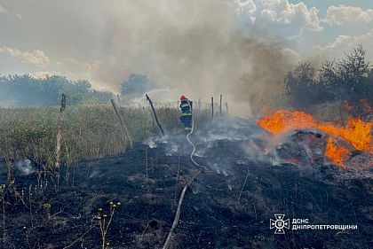 За прошедшие сутки на Днепропетровщине горело 46 гектаров территории и дома