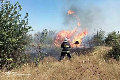 За прошедшие сутки спасатели потушили 65 пожаров в экосистемах Днепропетровщины