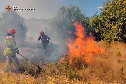 За сутки в Днепропетровской области горело 53 гектара в экосистеме