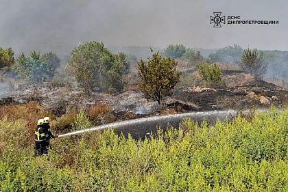 На Днепропетровщине растет количество пожаров в экосистемах