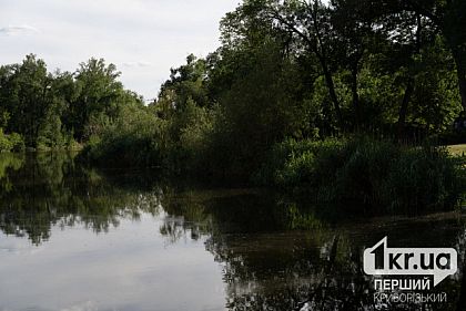 Пасмурно и без осадков: погода в Кривом Роге на 22 августа