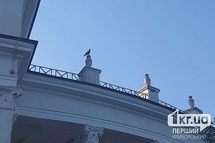 Переменная облачность: погода в Кривом Роге 27 августа