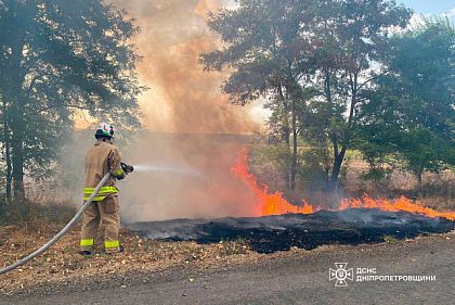 Горели сухостой, леса и мусор: за минувшие сутки на Днепропетровщине произошло 104 пожара