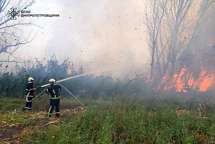 За прошедшие сутки в экосистемах Днепропетровщины произошло 97 пожаров