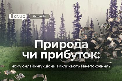 Онлайн-аукционы государственных земель: шанс для аграриев или угроза для природы?