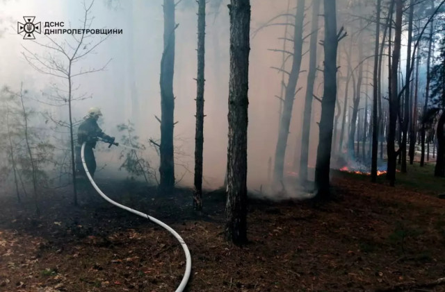 За сутки спасатели Днепропетровщины ликвидировали 65 пожаров