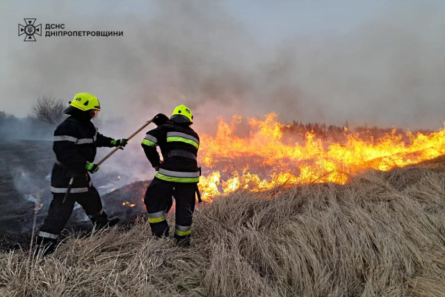 На прошлой неделе на Днепропетровщине горело 245 гектаров экосистемы