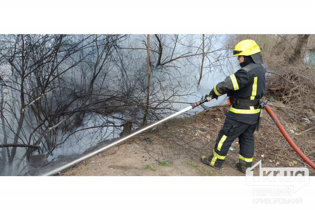 За добу на Криворіжжі пожежники 7 разів гасили пожежі в екосистемі