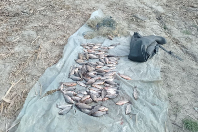 Понад 160 тисяч гривень збитків: на Дніпропетровщині рибпатрульні виявили порушника