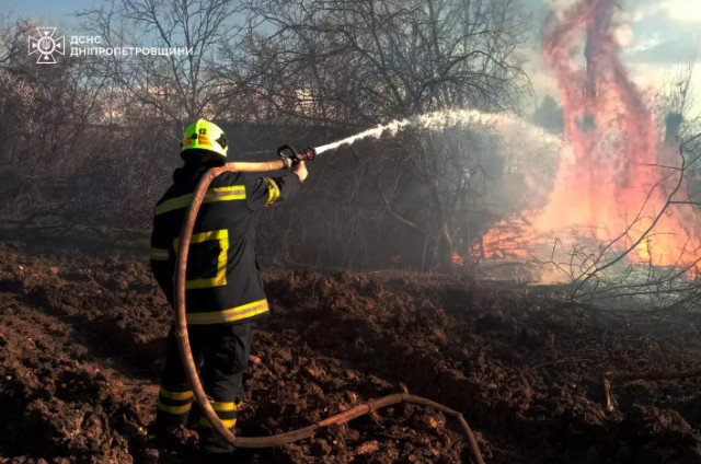 Горела сухая растительность и мусор: за сутки на Днепропетровщине потушили 50 пожаров