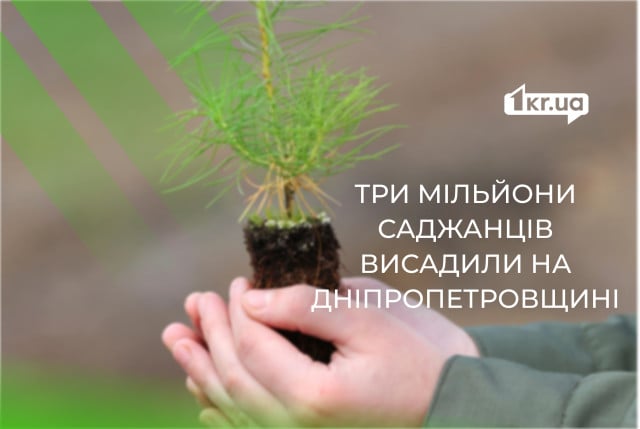 На Дніпропетровщині висадили понад 3 мільйонів саджанців сосни, дубу та клену