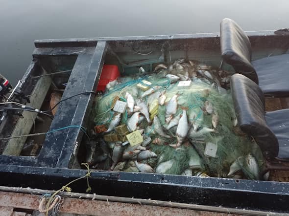 На Дніпропетровщині вилучили понад кілометр браконьєрських сіток з рибою