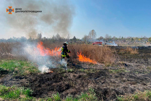 На Днепропетровщине за сутки ликвидировали 29 пожаров в экосистемах