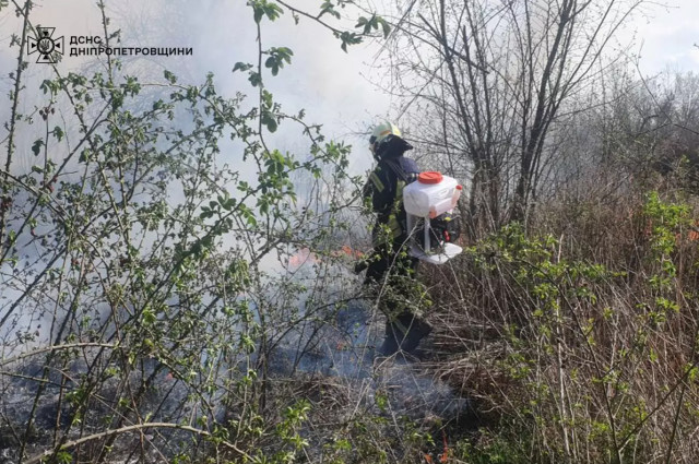 За минулу добу на Дніпропетровщині ліквідували 23 пожежі в екосистемах
