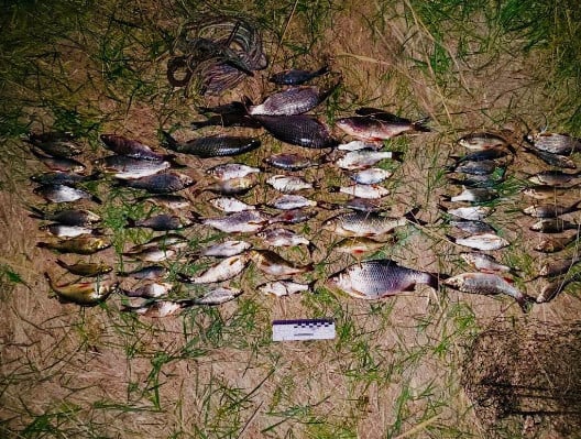 На Днепропетровщине обнаружили нарушителя со свежевыловленной рыбой