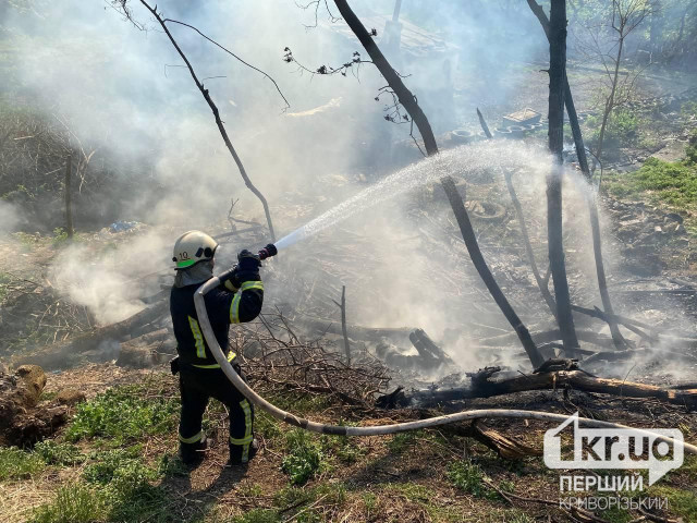 В Кривом Роге 10 апреля загорелась сухая трава