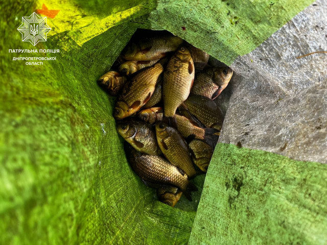 На Днепропетровщине рыбак нарушил нерестовый запрет, выловив рыбы на 30 тысяч гривен убытков