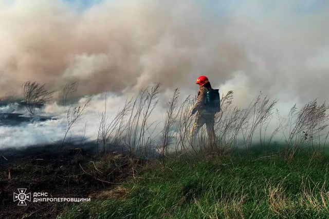 За добу на Дніпропетровщині сталося 22 пожежі в екосистемі