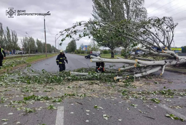 На Дніпропетровщині надзвичайники після негоди прибирали повалені дерева