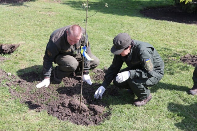 В Кривом Роге нацгвардейцы высадили деревья в память о погибших побратимах