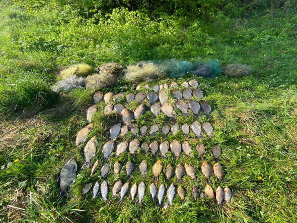 На Дніпропетровщині від початку нерестової заборони браконьєри завдали збитків на понад 4 мільйони гривень