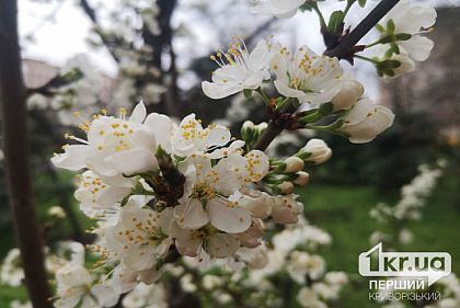 Облачно с прояснениями: погода в Кривом Роге на 3 апреля