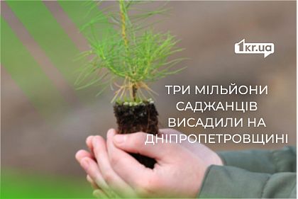 На Дніпропетровщині висадили понад 3 мільйонів саджанців сосни, дубу та клену