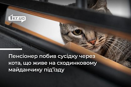 Пенсионер из Кривого Рога избил соседку из-за кота, живущего в подъезде: как его наказали