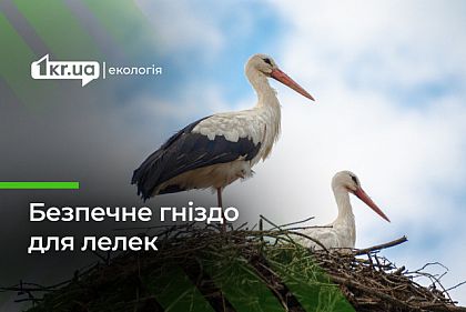 На Днепропетровщине энергетики установили безопасное гнездо для аистов