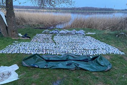 На Криворожье задержали нарушителей, которые наловили рыбы на 2,7 миллиона гривен