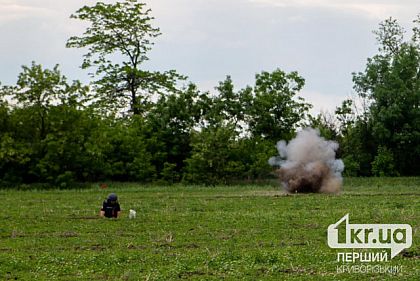 На Криворожье обнаружили 14 взрывоопасных предметов