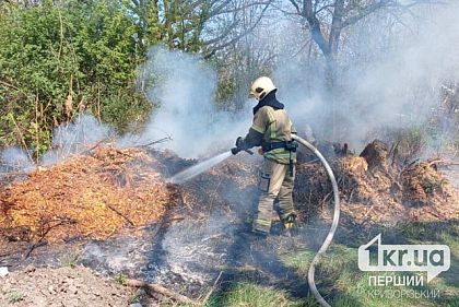 За минувшие сутки на Криворожье произошло 6 пожаров в экосистеме