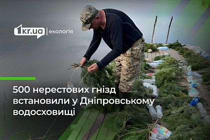 На Дніпровському водосховищі встановили 500 штучних нерестовищ для риби
