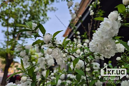Погода в Кривом Роге 16 апреля