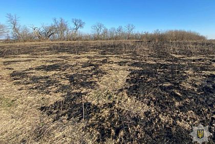 За спалювання сухої трави мешканцю Дніпропетровини загрожує до 5 років за ґратами