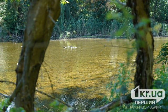 16 водоймищ не відповідають нормативам: на Дніпропетровщині перевірили якість води