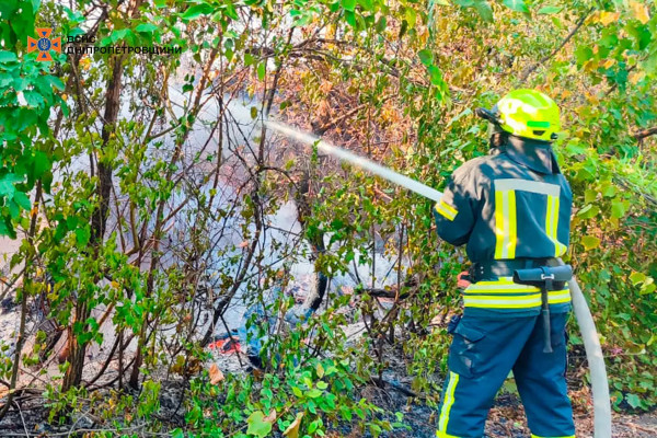 Рятувальники гасили пожежу в лісі у Кривому Розі