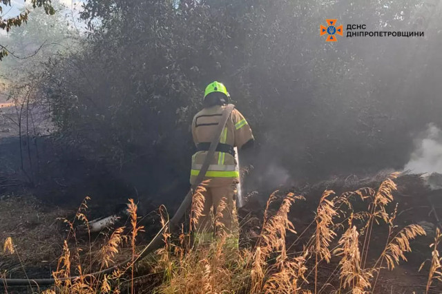 Пожежа у Краматорівському лісі: криворізькі вогнеборці ліквідували займання на площі 8 гектар