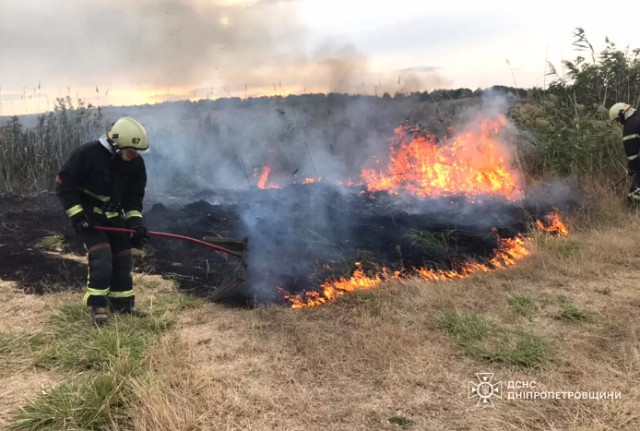 На Дніпропетровщині протягом доби вогонь знищив 134 гектари трав’яного настилу