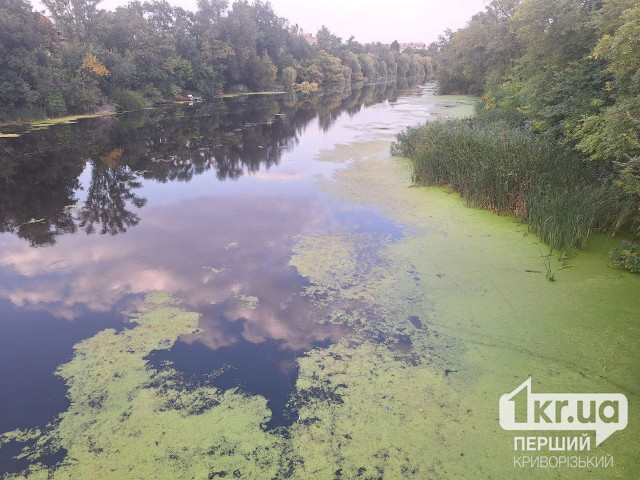 12 не відповідають нормативам: на Дніпропетровщині перевірили якість води водоймищ