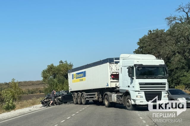 Неподалік Кривого Рогу сталася автотроща за участю вантажівки