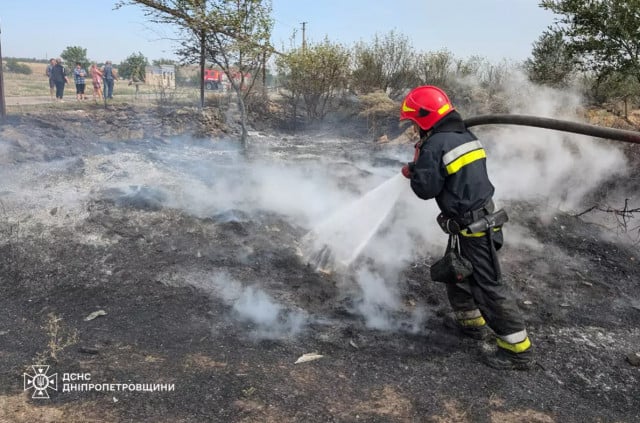 В течение суток огонь уничтожил 280 гектаров экосистем Днепропетровщины