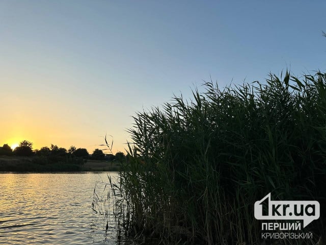 В одній із водойм Кривого Рогу виявили бактерії, що можуть викликати гострий кишковий розлад