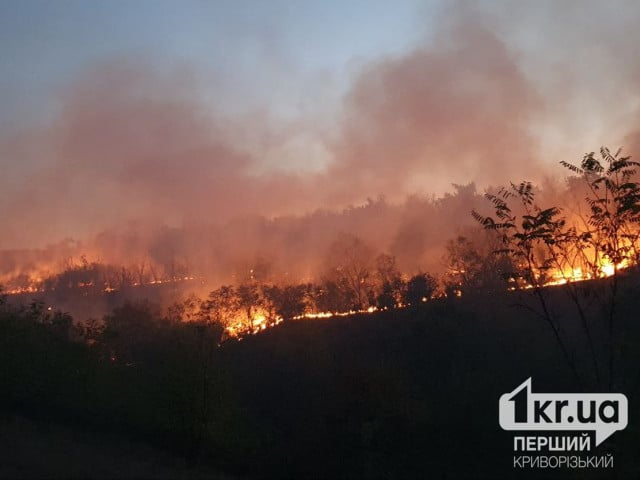 Недалеко от Кривого Рога горит Карачуновский лес