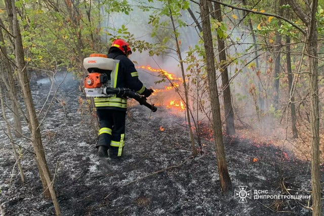 За добу на Дніпропетровщині сталося майже 90 пожеж