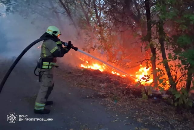 Минулої доби на Дніпропетровщині вогонь знищив понад 53 гектари екосистем